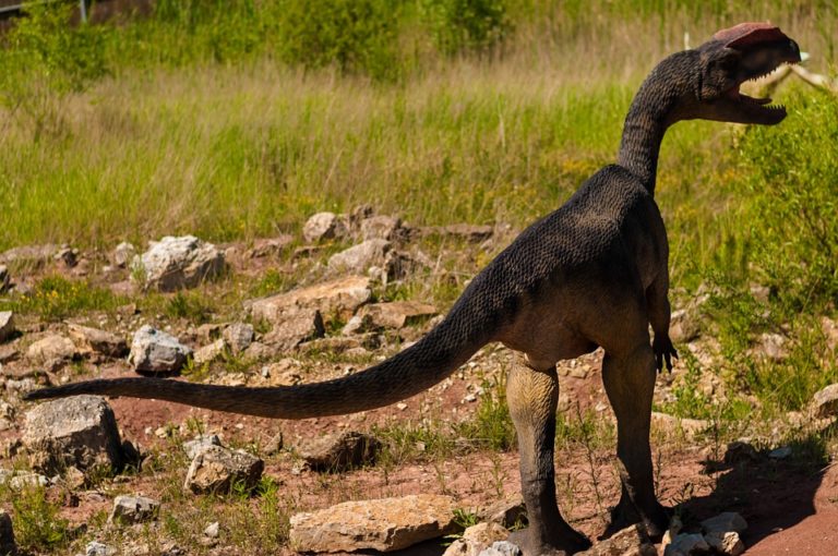 Fleischfresser Dinosaurier | Tiere Online