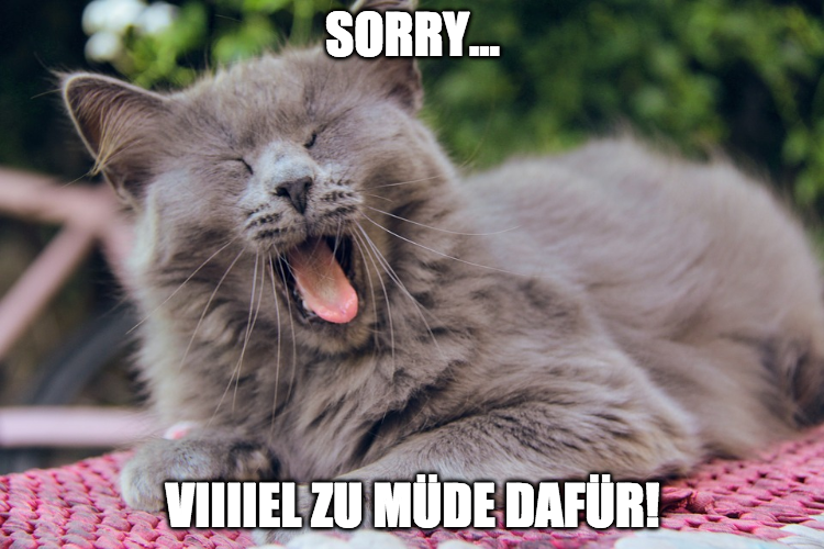 Katzenbild Meme: Katze ist muede.