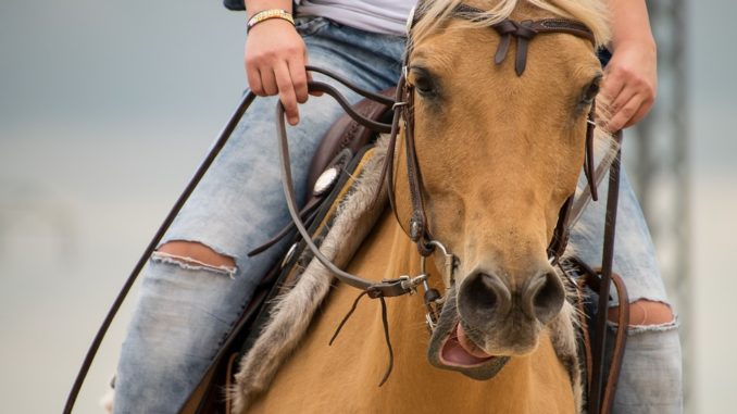 reiten-spiel