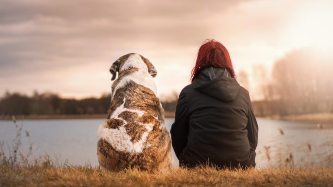 tier-freundschaft-sprueche