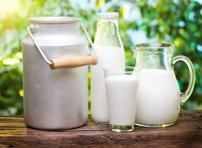 Dürfen Hunde Milch trinken? » Tiere Online